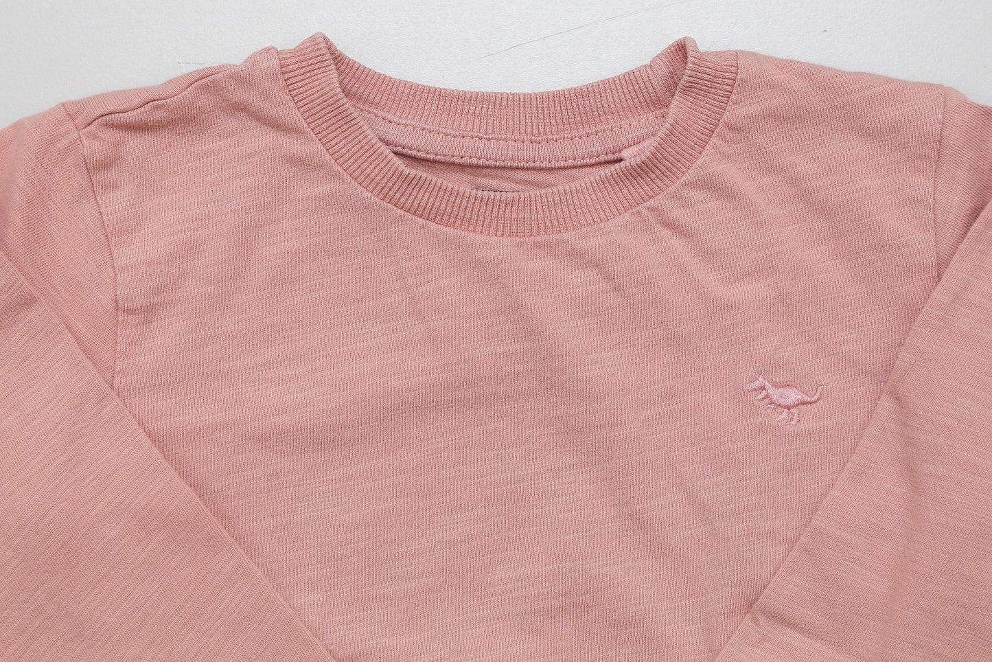 Rosa Langarmshirt mit kleinem gesticktem Dinosaurier (80) - KlugeMutti