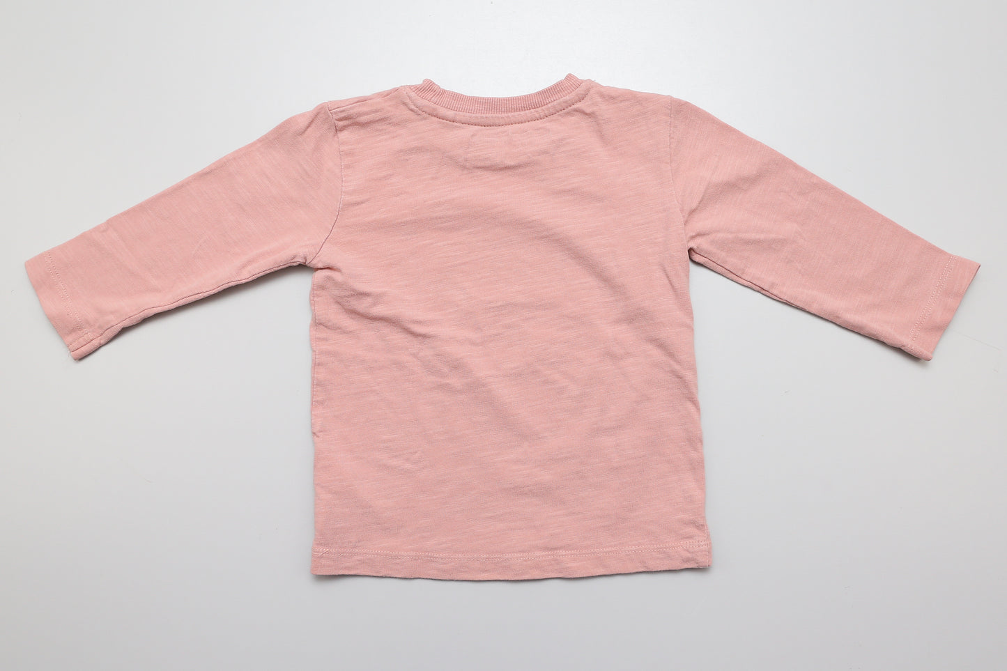 Rosa Langarmshirt mit kleinem gesticktem Dinosaurier (80) - KlugeMutti