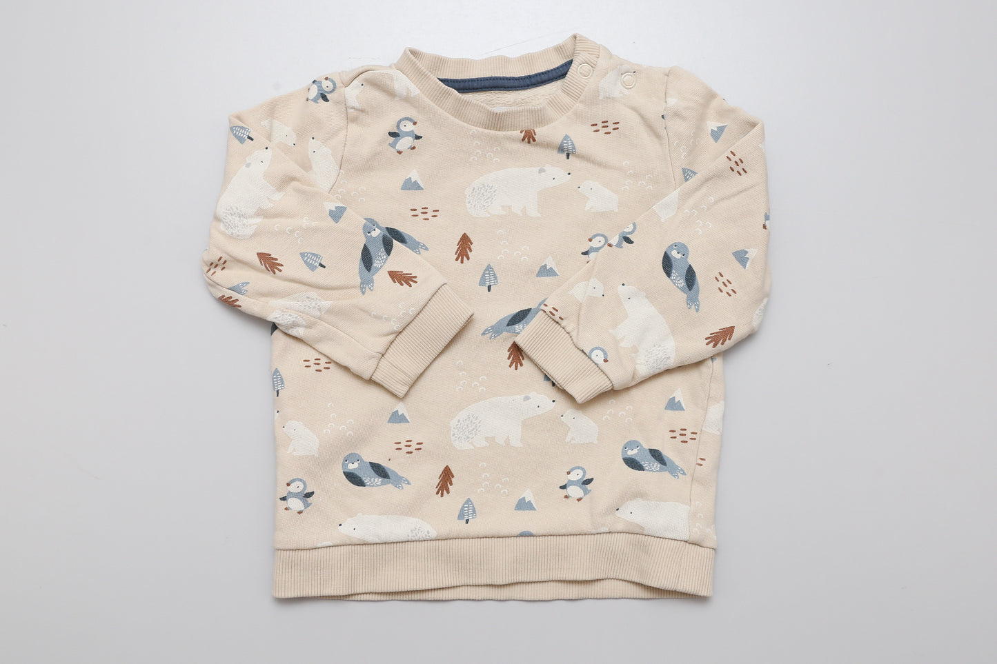 Sweatshirt mit Eisbär-Motiv und Druckknöpfen an der Schulter.