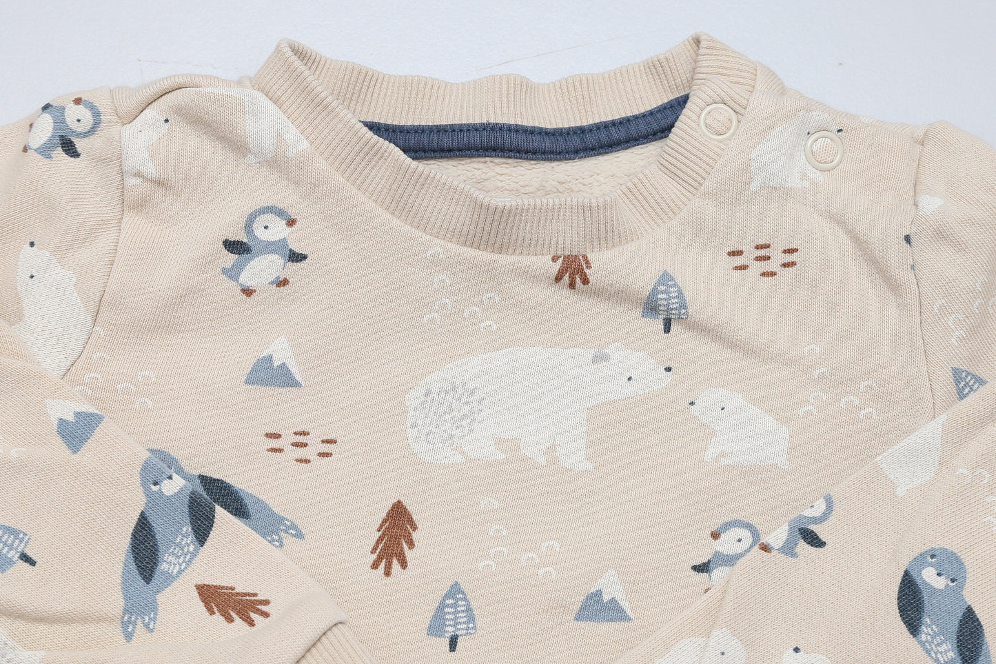 Sweatshirt mit Eisbär-Motiv (80) - KlugeMutti