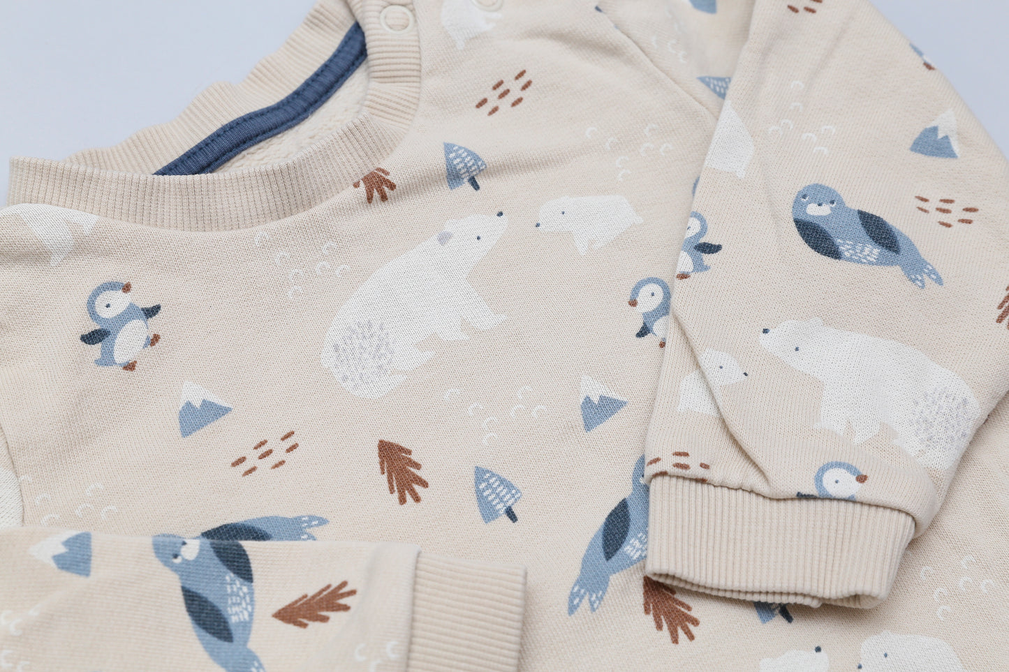 Sweatshirt mit Eisbär-Motiv (80) - KlugeMutti