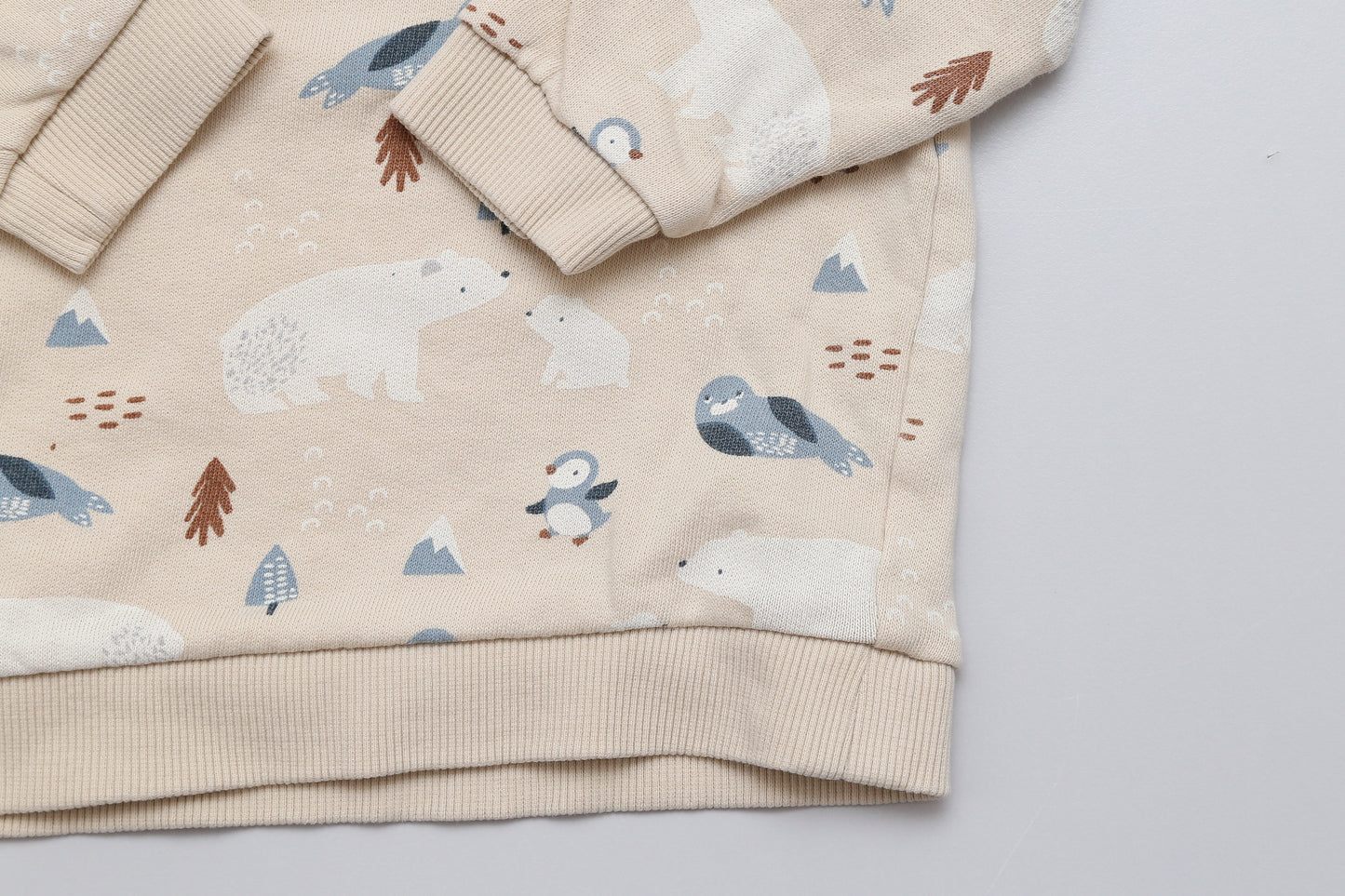 Sweatshirt mit Eisbär-Motiv (80) - KlugeMutti