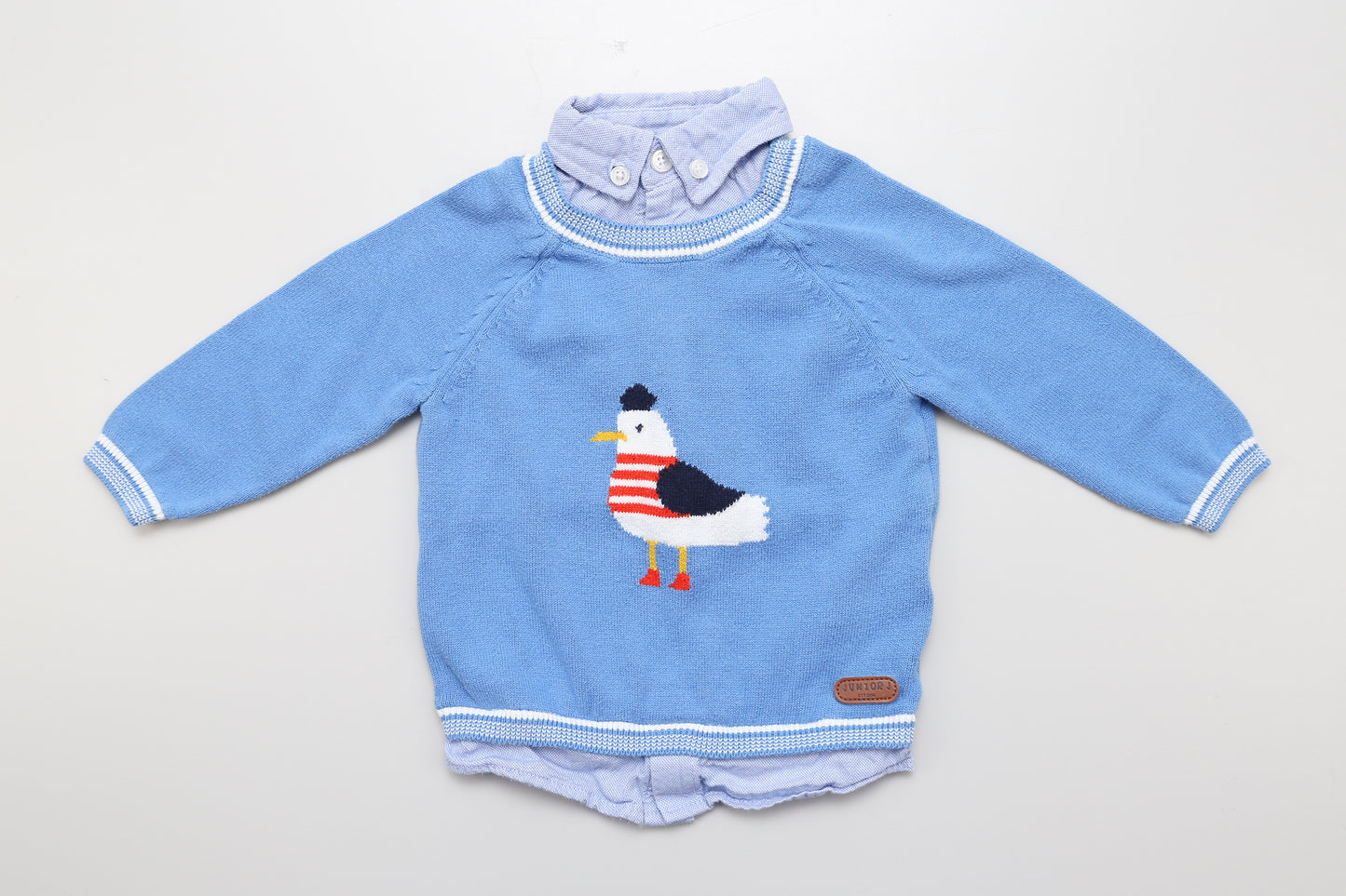 Pullover mit Kragen und Vogelmuster in Blau.