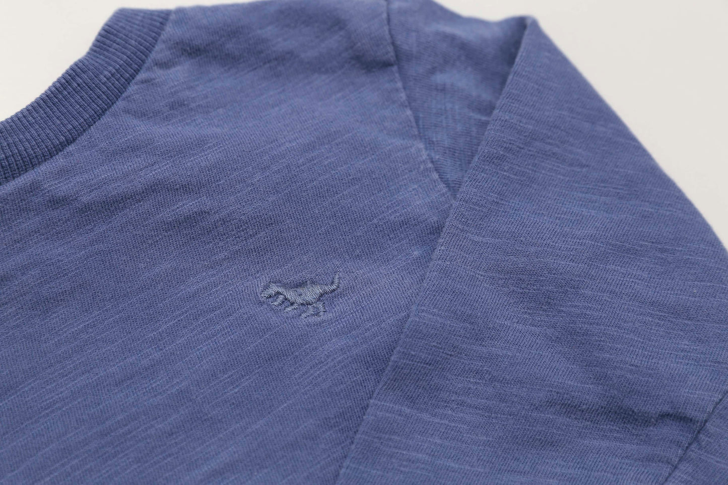 Blaues Langarmshirt mit kleiner Dino-Stickerei (80)
