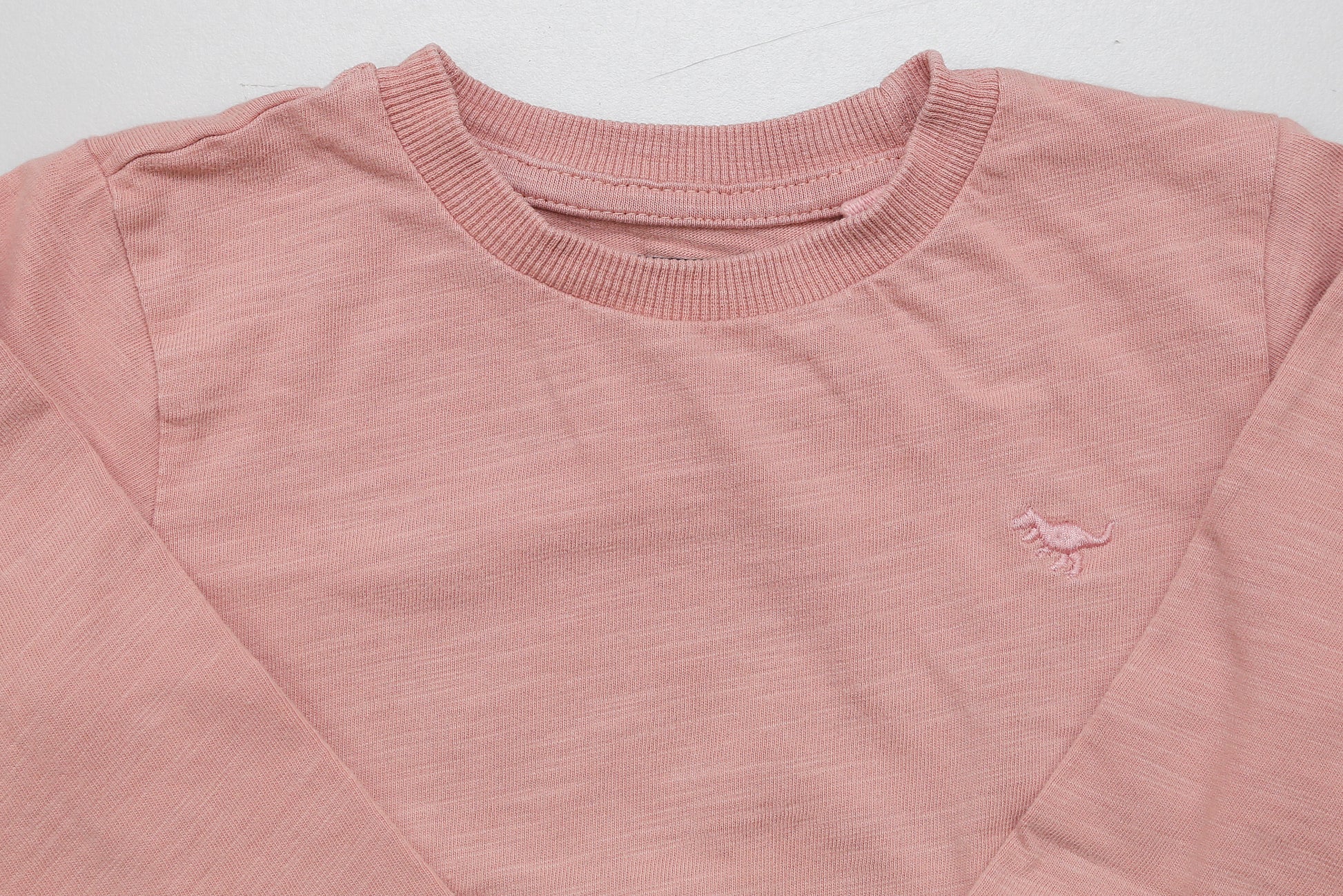 Rosa Langarmshirt mit kleinem gesticktem Dinosaurier (80) - KlugeMutti
